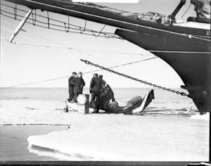 Image of Loading sledge off Shannon Island